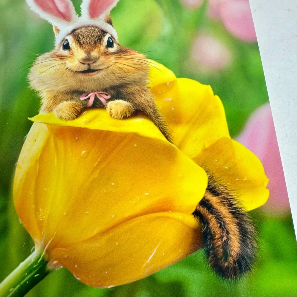 4 Avanti Greeting cards -chipmunk in yellow flower with bunny ears. Easter.